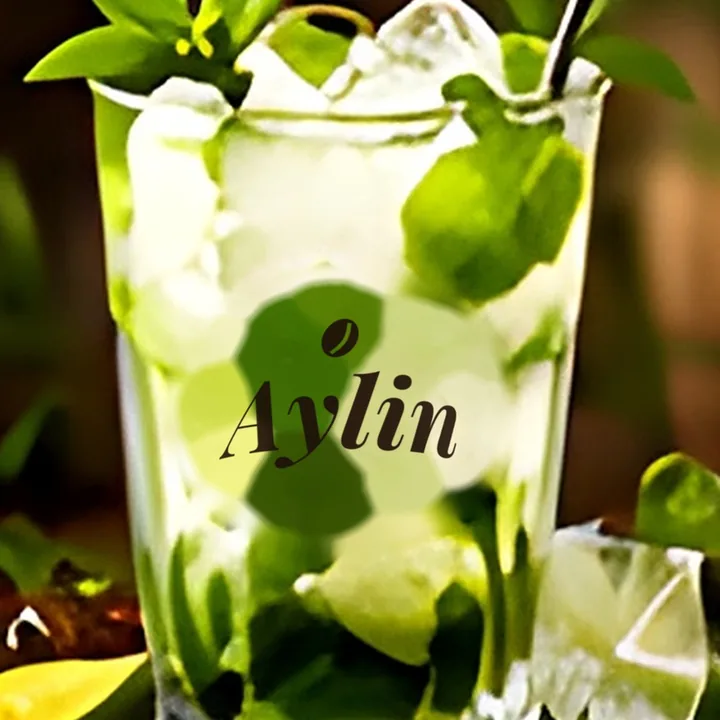 Tarxun mojito